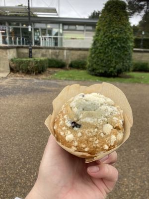 Vegan Blueberry muffin  at Pavilion Cafe at East Park in Hull