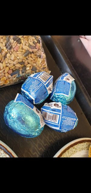 Mummy Meagz cream eggs  at Pavilion Cafe at East Park in Hull