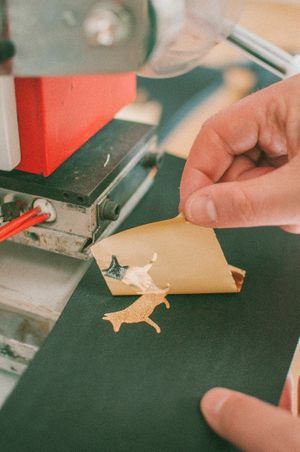 Golden Fox at Gorrión in Buenos Aires