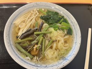 Udon   at Sun Yamaki in Nozawaonsen