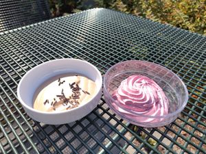 Vegane Mousse au Chocolat und vegane Mousse mit Sauerkirschen at Mensa Tarforst in Trier