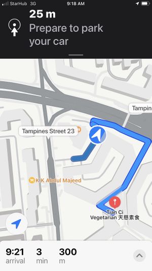 Turn in from street 23, if gps will make you drive much further   at Tian Ci Vegetarian 天慈素食 in East Singapore