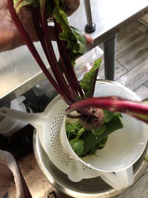   at Sprouts Organic Cafe in New Orleans