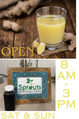   at Sprouts Organic Cafe in New Orleans