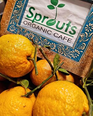 Fresh from the Farm to the Table!!  at Sprouts Organic Cafe in New Orleans