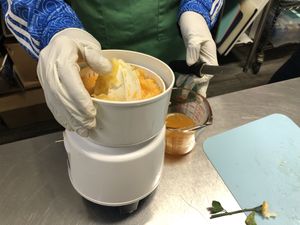   at Sprouts Organic Cafe in New Orleans