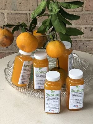   at Sprouts Organic Cafe in New Orleans