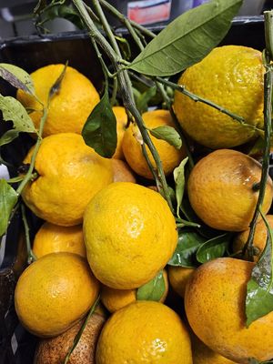 Fresh Orange Juice  at Sprouts Organic Cafe in New Orleans