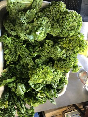 Fresh greens, ready for juicing  at Sprouts Organic Cafe in New Orleans