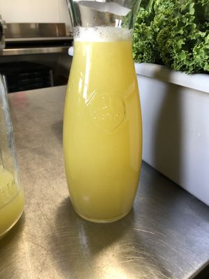 Sour as a lemon, sweet as sprouts cafe  at Sprouts Organic Cafe in New Orleans