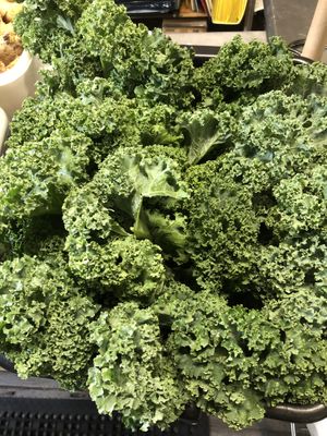   at Sprouts Organic Cafe in New Orleans