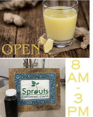   at Sprouts Organic Cafe in New Orleans