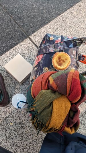 Pastel de nata at Pastelaria Tupi in Porto