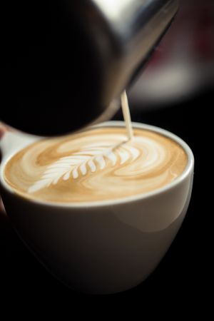 Oatmilk Latte at Flying Goat Coffee - 419 in Healdsburg