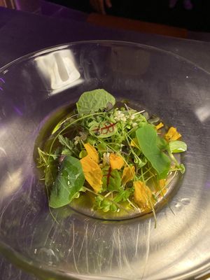 Opening salad with an amazing coriander oil dressing!  at Tanaman in Seminyak