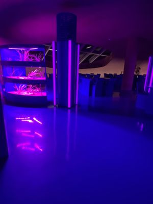 Inside   at Tanaman in Seminyak