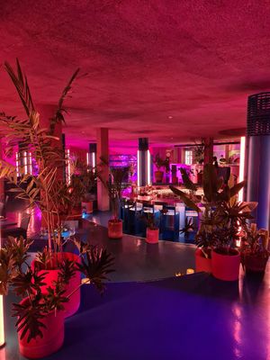 The interior at Tanaman in Seminyak