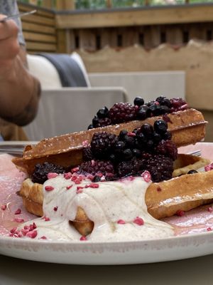 Berry waffles at Farm2Table - Davidshall in Malmo