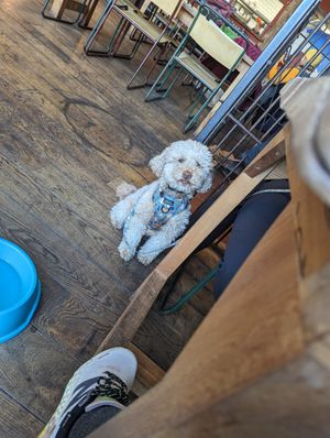  at Black Isle  in Fort William