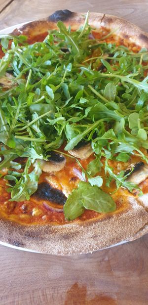 Vegan Tartuffo at Black Isle  in Fort William