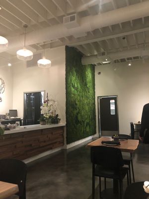 Clean interior, fabulous food at Love Organic Cafe in West Hollywood