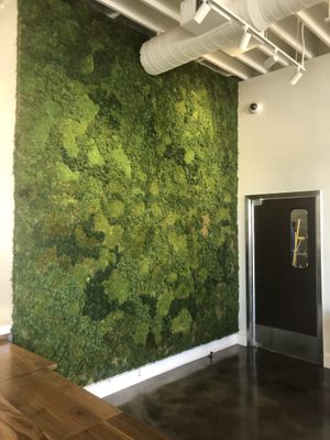 Green wall  at Love Organic Cafe in West Hollywood