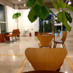  at Fig from Vegan 채식주의자의 무화과 in Jeonju