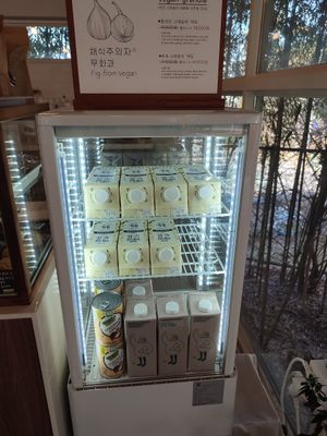  at Fig from Vegan 채식주의자의 무화과 in Jeonju