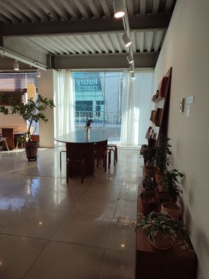  at Fig from Vegan 채식주의자의 무화과 in Jeonju