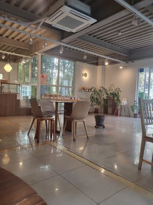 cozy interior at Fig from Vegan 채식주의자의 무화과 in Jeonju