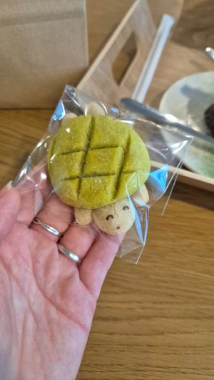 Turtle cookie at Fig from Vegan 채식주의자의 무화과 in Jeonju