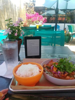 Panang Mole at Nitally's Thai-Mex Cuisine in St Petersburg