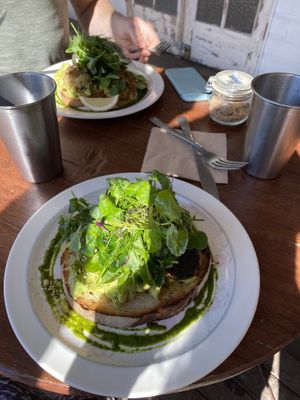 Avo toast at Woods in Bangalow