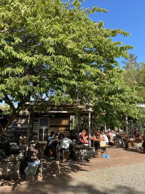 Garden  at Woods in Bangalow