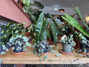   at Last Light Coffee in Blackpool