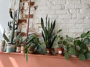   at Last Light Coffee in Blackpool