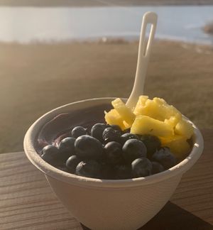 Acai with fresh blueberries & pineapple  at Bowls of Love - Food Truck in Cedar Falls