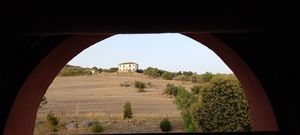 The view from the single room ... at Kerkus Veggie Bar in Montecorto