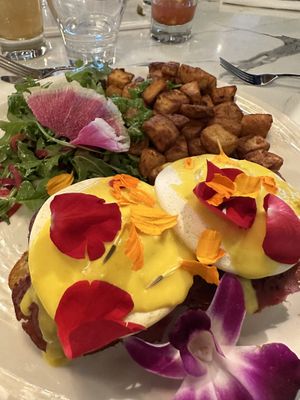   at Evviva in Toronto