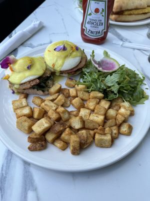   at Evviva in Toronto