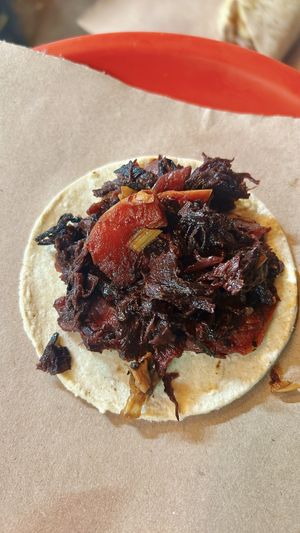 taco „jamaica"  at La Cordobesita in Tulum