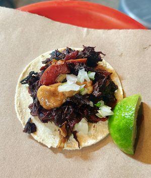 taco „jamaica"  at La Cordobesita in Tulum