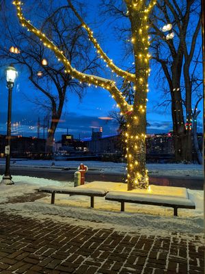 View through the window at Aster Cafe in Minneapolis