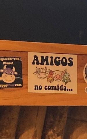   at Mr Veggie San Pedro in San Pedro