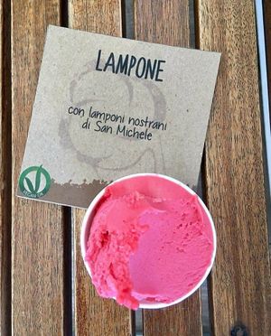 Raspberry Vegan flavours with fresh local fruit at Ciocolat Oltre il Gelato in Toscolano Maderno
