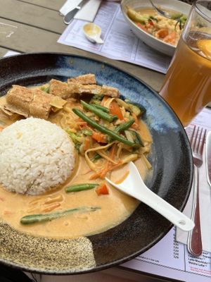Curry mit Reis und Tofu Topping, Homemade Ice Tea  at MoschMosch in Mannheim