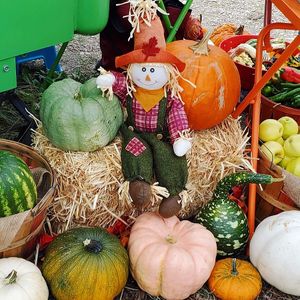 Pumpkins at Kiki's Peak Produce in Alma