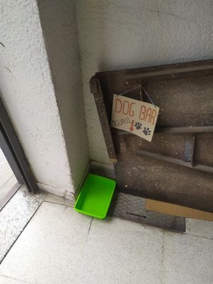  at Planeta Vegano in Madrid