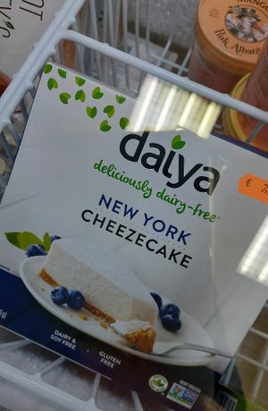 Frozen Cheesecake at Planeta Vegano in Madrid