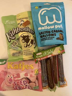   at Planeta Vegano in Madrid